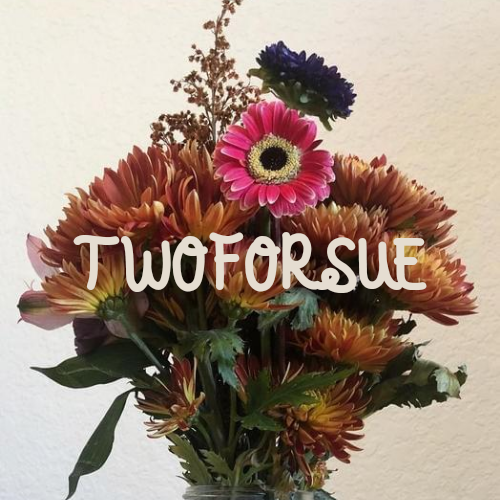 Twoforsue: A Mental Health Blog Created By A Registered Nurse